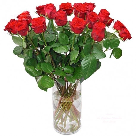 BOUQUET DE ROSES ROUGES VALERIE