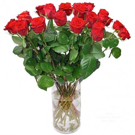 Bouquet De Roses Rouges Saint Valentin