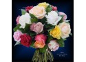 BOUQUET OF ROSES OPALE