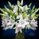 BOUQUET TENDRE LYS BLANC