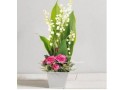 MUGUET CLOCHETTE