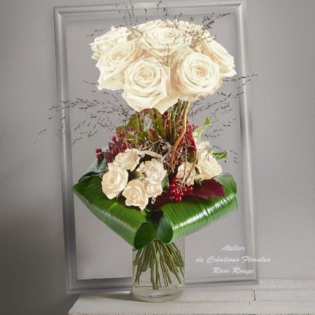 ROSES BLANCHES AUDACE